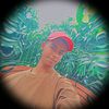 user185481745
