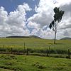 mureithimunene211