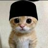 arabicsongindonesia