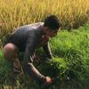 ajik.bara7