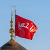 danaali5889