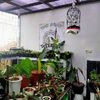 vanz.aviary