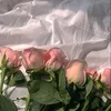 zamzam_5512
