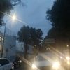 ary_1524_.0