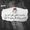 user8445245769537