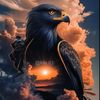 user146381805