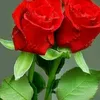 user3844199675937