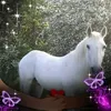 carol.carolyn1