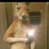 manu._jp