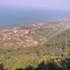 ali.almandalawy6