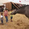 aziz.wydadi15