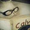 biby_a1