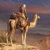 ammarammar5906