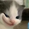 trm.baotrm