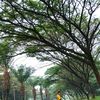 duta_200578