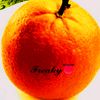 orange.the._freaky_fruit