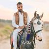 sawarsaithasadalihorse