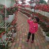 ahsa.nadia