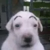 its_jzxe