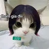 motcucchocola