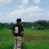 adiba_ssn