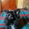 adik76742