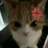 dhiiexxie