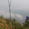 yeyintthu1234561