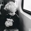 dipa_lrk