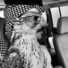 nasrkha4