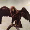 dimapantera
