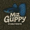 miz.guppy