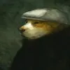 tom20036437