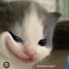 fanchitranvyvy1303