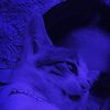 ygd6_4
