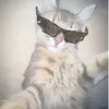 maisy2_009