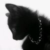 rahman.nichol_