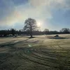 ollie_mcdonald1
