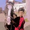 shani.king798