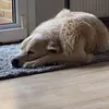 anni_3939