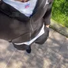 ephemerestlavida