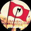 .hameedbhaghi