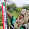 الشاعر  المبتدي
