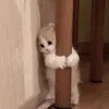 pimchanokk__