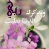 user4496800953106