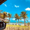 Verso da Vida