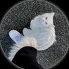 fff__q