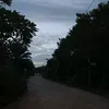haanhieennn