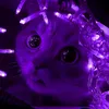 eiforia_3
