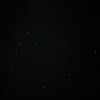 lisb_190